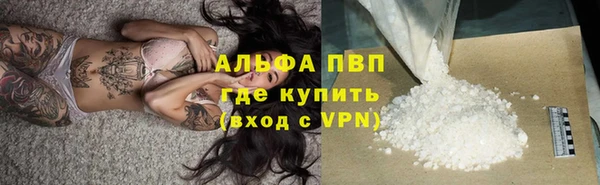 индика Мегион