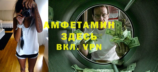 индика Михайлов