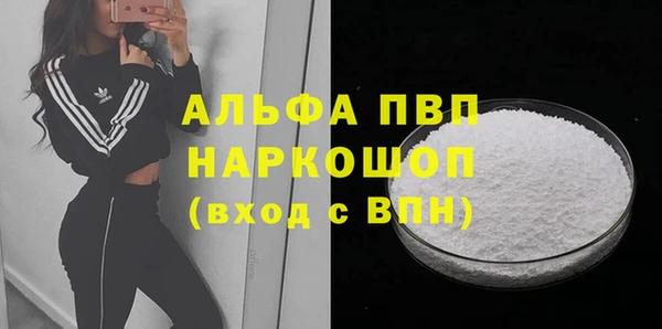 индика Михайлов