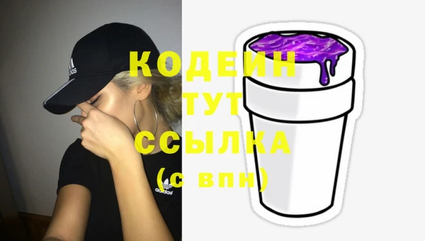 индика Михайлов