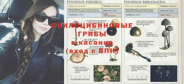 индика Михайлов