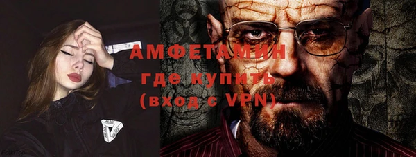 индика Михайлов