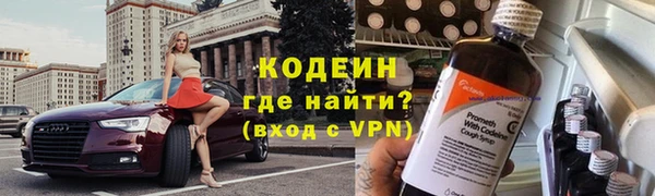 индика Михайлов