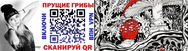 где найти   Россошь  Псилоцибиновые грибы мицелий 