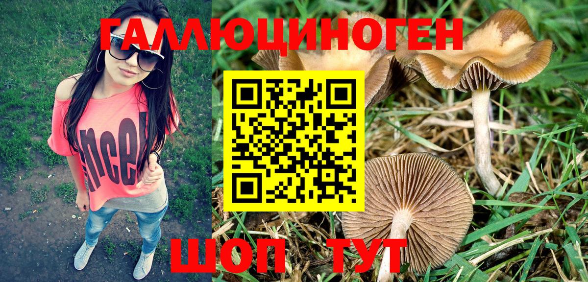 Псилоцибиновые грибы MAGIC MUSHROOMS  Вход с VPN  Россошь  Галлюциногенные грибы прущие грибы 