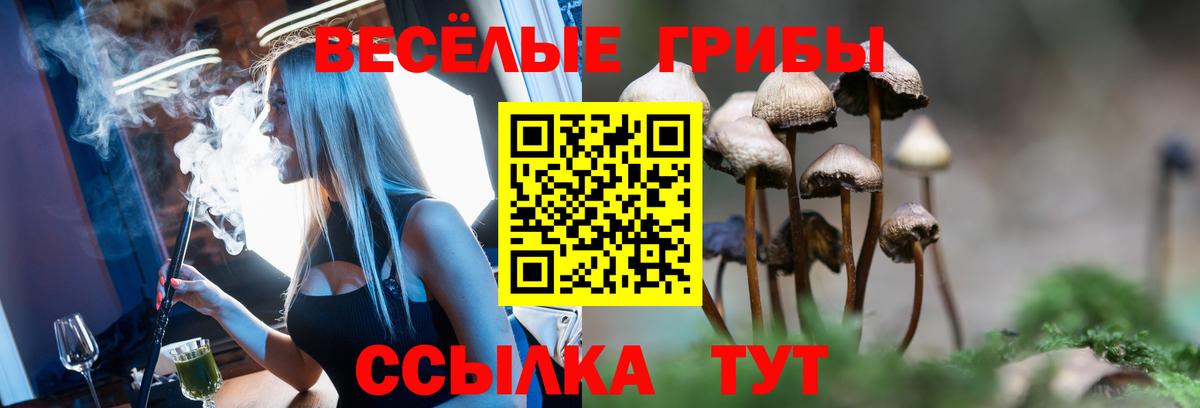 ГАШИШ  Мефедрон  КОКАИН  Россошь  МДМА  Вход с VPN  НБОМе  Экстази  АМФ кристаллы  МЕФ кристаллы  Канабис 