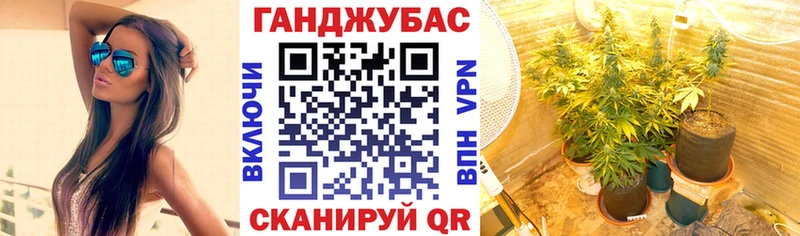 Бошки марихуана OG Kush  продажа наркотиков  kraken ТОР  Россошь 